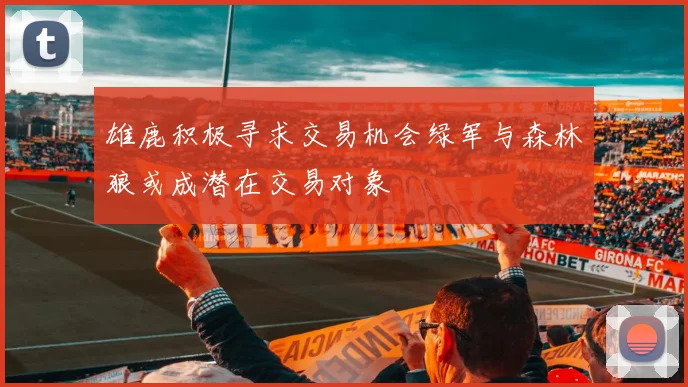 雄鹿积极寻求交易机会绿军与森林狼或成潜在交易对象