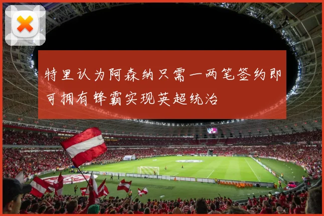 特里认为阿森纳只需一两笔签约即可拥有锋霸实现英超统治