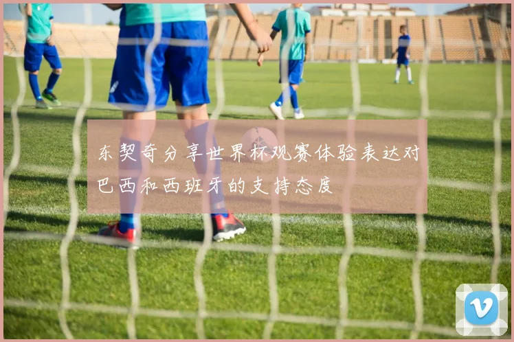 东契奇分享世界杯观赛体验表达对巴西和西班牙的支持态度